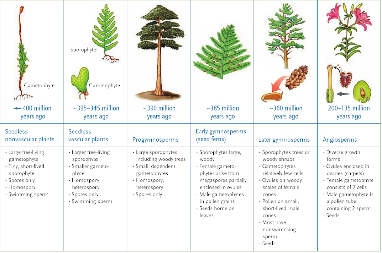 554-943_Screenshot-2018-2-16 Biology The Dynamic Science.png